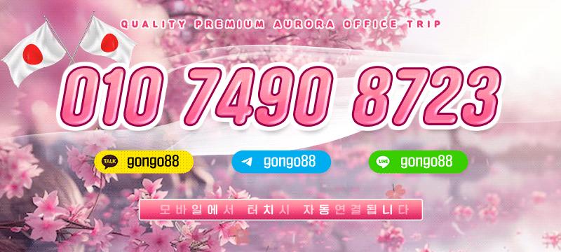 수원 오피 오로라일본출장 01074908723 11